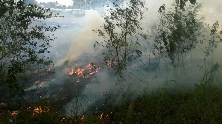 Fuligens de queimadas nas proximidades de Eunápolis estão infernizando a vida da população, donas de casa reclamam 4