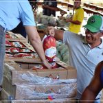 PREFEITURA DE ITAGIMIRIM DISTRIBUI MAIS DE 4 TONELADAS DE FRANGO E GARANTE A CEIA DO NATAL DOS MORADORES DE ITAGIMIRIM 14