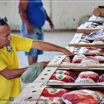 PREFEITURA DE ITAGIMIRIM DISTRIBUI MAIS DE 4 TONELADAS DE FRANGO E GARANTE A CEIA DO NATAL DOS MORADORES DE ITAGIMIRIM 23
