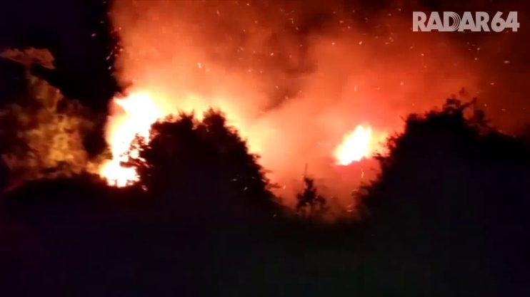 Fogo destrói área de preservação ambiental em Eunápolis 6
