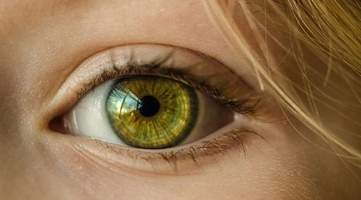 Alteração na retina pode indicar Mal de Alzheimer 4