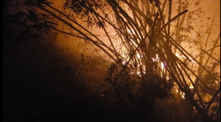 Fogo na região central da cidade atinge estabelecimentos comerciais 5