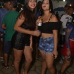 Trio da Huanna e Psirico dão show na abertura do Pau Brasil Folia 2019 156