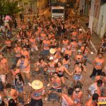 Um verdadeiro sucesso o Bloco Vai Vendo na Micareta de Pau Brasil 2019 113