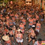 Um verdadeiro sucesso o Bloco Vai Vendo na Micareta de Pau Brasil 2019 34