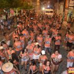 Um verdadeiro sucesso o Bloco Vai Vendo na Micareta de Pau Brasil 2019 197