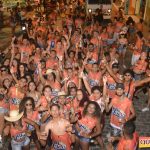 Um verdadeiro sucesso o Bloco Vai Vendo na Micareta de Pau Brasil 2019 229