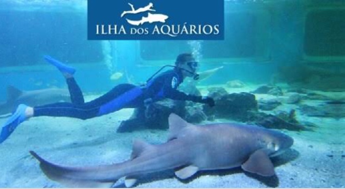 Ilha dos Aquários ícone de entretenimento em Porto Seguro encerra suas atividades 8