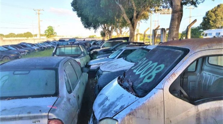 O leilão será realizado nas modalidades presencial e on-line no dia 12 de agosto. O leilão será realizado nas modalidades presencial e on-line no dia 12 de agosto. 10