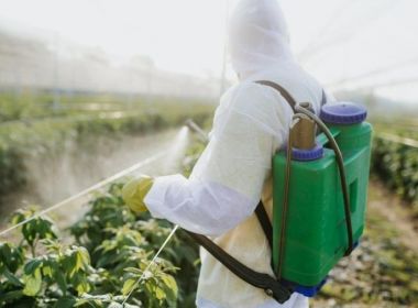 Agrotóxicos são 'afronta a saúde' e tornam nocivos alimentos que deveriam ser benéficos 11