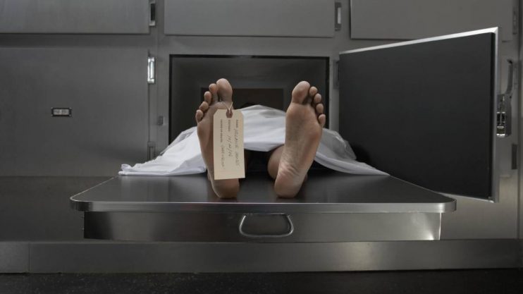 Cientistas descobrem que corpos se movem até um ano após a morte 7