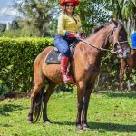 Cavalgada da Independência em prol da equoterapia de Itabuna foi simplesmente fantástica 449