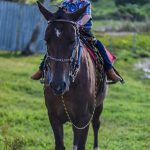 Cavalgada da Independência em prol da equoterapia de Itabuna foi simplesmente fantástica 444