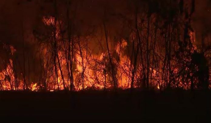 Bolsonaro muda decreto e autoriza queimadas para agricultura fora da Amazônia 5