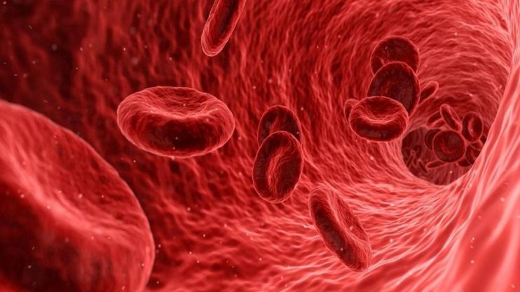 Cientistas japoneses criam sangue artificial 'universal' 5