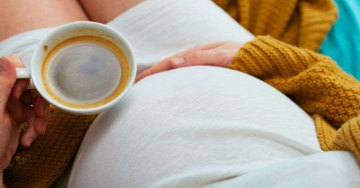 Alimentos para evitar na gravidez: 10 itens que você deve excluir ou reduzir muito 13
