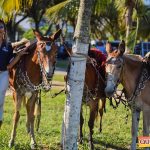 Recorde de público a 6ª edição do Aniversário do Rancho Guimarães 52