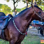 Recorde de público a 6ª edição do Aniversário do Rancho Guimarães 121