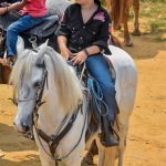 Sucesso absoluto a 2ª Montaria Os Tropeiros 395