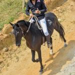 Sucesso absoluto a 2ª Montaria Os Tropeiros 397