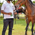 Sucesso absoluto a 2ª Montaria Os Tropeiros 440