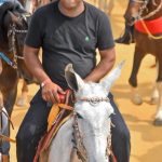 Sucesso absoluto a 2ª Montaria Os Tropeiros 492