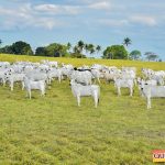 Sucesso absoluto a 2ª Montaria Os Tropeiros 520