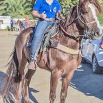 Cavalgada Azul supera as expectativas e tem recorde de público 348