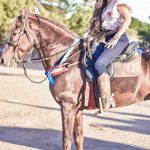 Cavalgada Azul supera as expectativas e tem recorde de público 87