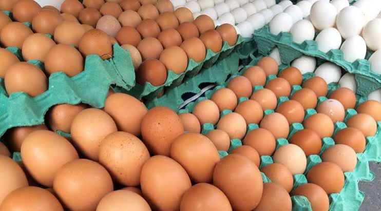 Brasil bate recorde histórico no consumo de ovos 5
