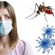 Como saber se estou com dengue ou COVID-19? 41