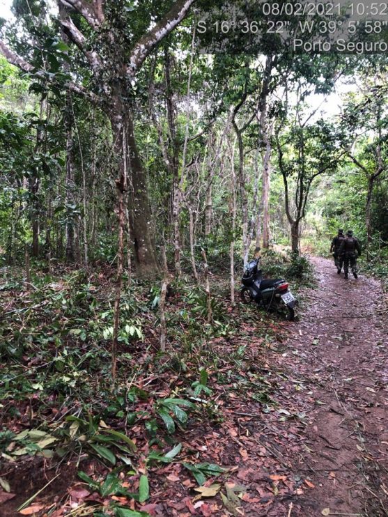 Secretaria de Meio Ambiente de Porto Seguro, está atuando com foco no levantamento dos locais públicos e florestais em todo o território do município 12