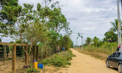 Estrada limpa e coleta regular de lixo no Ponto Maneca, distrito Colônia, em Eunápolis 56