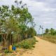 Estrada limpa e coleta regular de lixo no Ponto Maneca, distrito Colônia, em Eunápolis 57