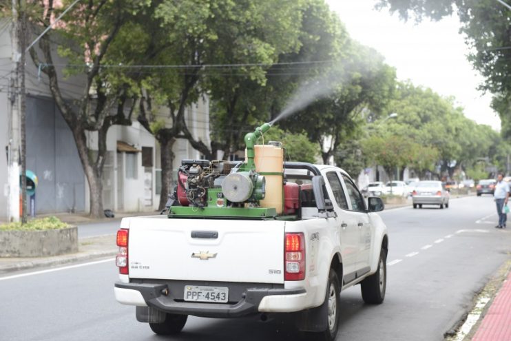 População Sofre com Infestação de Mosquitos na Região População Sofre com Infestação de Mosquitos na Região 4