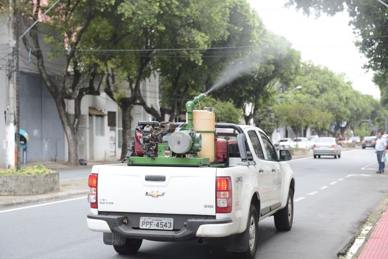 População Sofre com Infestação de Mosquitos na Região 6