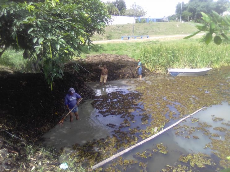 Começa a operação de limpeza na lagoa do Dinah Borges, em Eunápolis 12