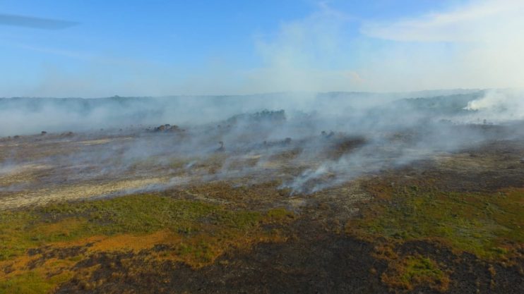 Porto Seguro: Secretaria de Meio Ambiente atua no combate ao incêndio na Aldeia Velha 12