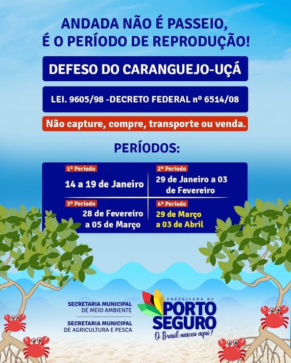 Secretaria de Meio Ambiente alerta para período do defeso em Porto Seguro 5
