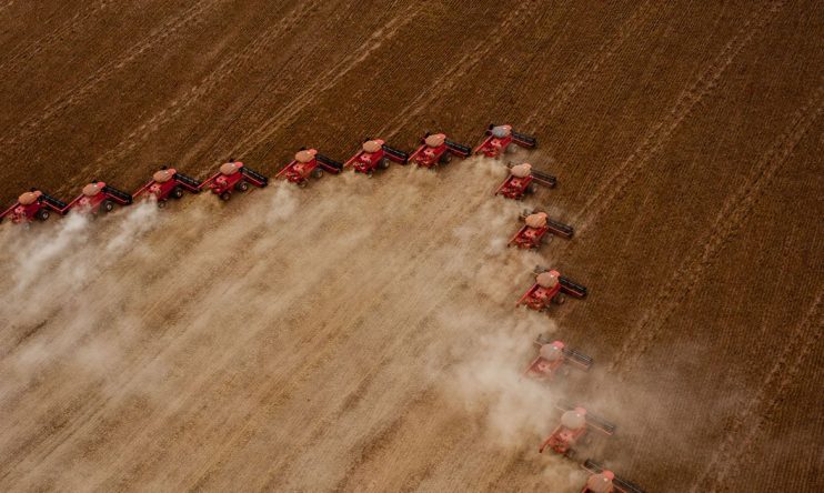 Embrapa: Brasil será maior exportador de grãos do mundo em cinco anos 4