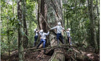 Veracel destaca seu compromisso com a proteção das florestas e recursos hídricos da Bahia 31