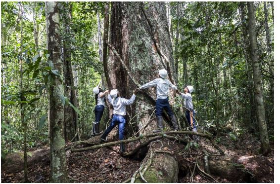 Veracel destaca seu compromisso com a proteção das florestas e recursos hídricos da Bahia 2