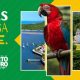 Prefeitura de Porto Seguro lança o projeto “22 de Abril – Aniversário do Brasil” 33