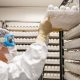 Os desafios da ButanVac, que vai usar 20 milhões de ovos de galinha para produzir 40 milhões de vacinas 37
