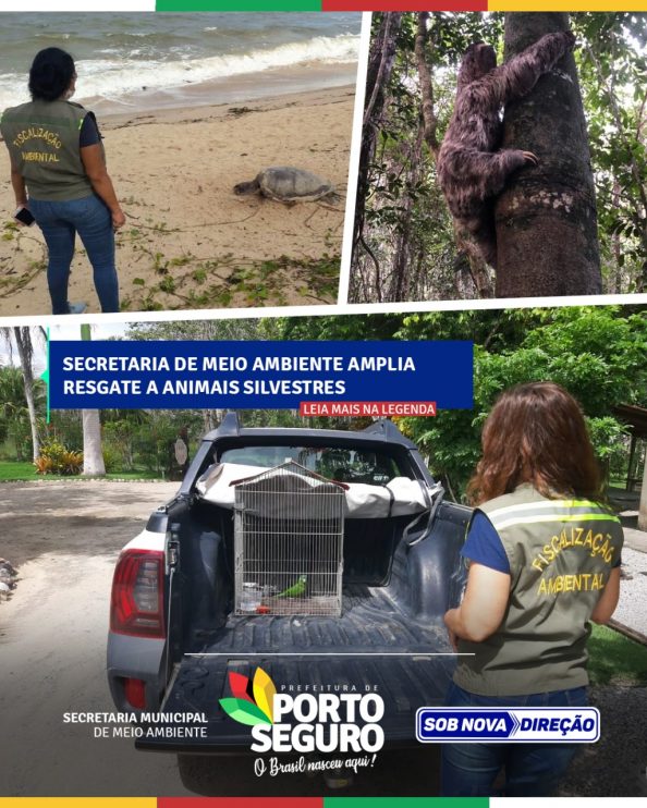 Secretaria de Meio ambiente amplia resgate a animais silvestres 4