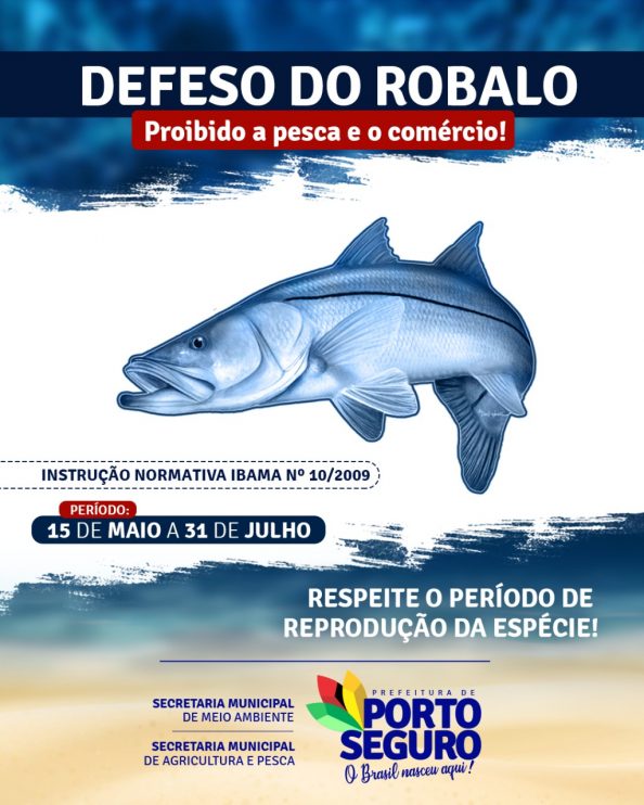Defeso do Robalo: pesca será liberada após 31 de julho 6