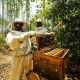Veracel destaca resultados dos projetos de apicultura realizados com produtores da região Sul da Bahia 43