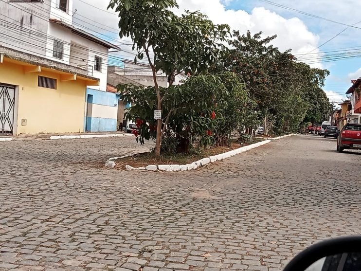 Consciência cidadã faz uma cidade limpa 24