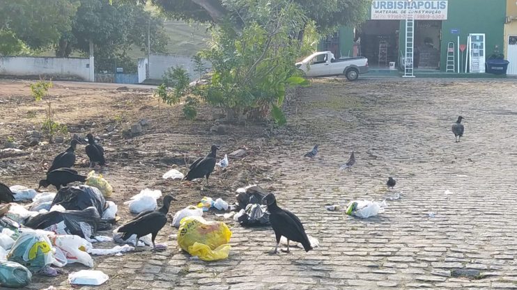 Consciência cidadã faz uma cidade limpa 4