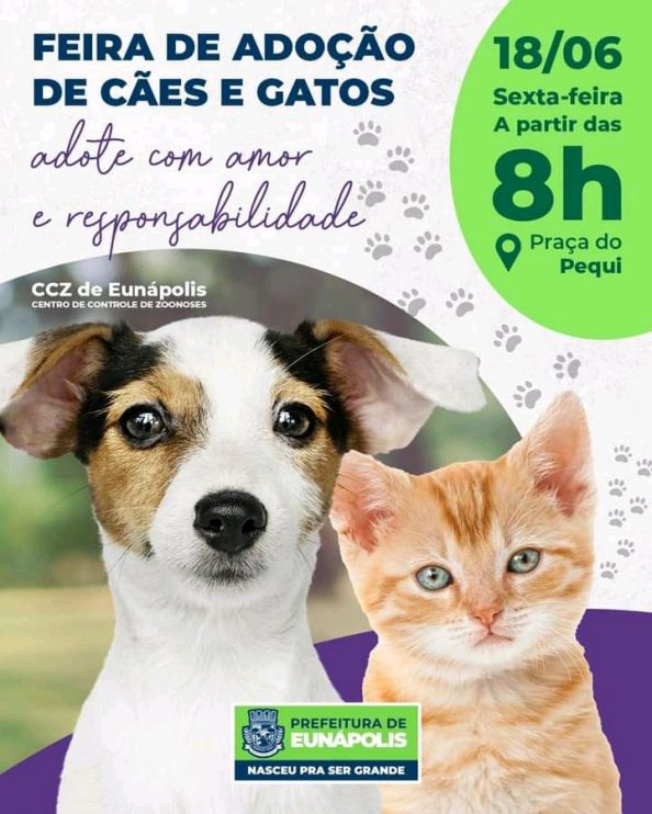 Sexta-feira, 18 de junho, o CCZ estará realizando a 1ª Feira de Adoção de Cães e Gatos de Eunápolis em 2021 10